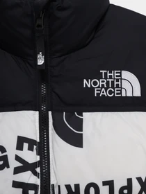 Куртки и дубленки The North Face 1996 Printed Retro Nuptse модель NF0A5IYC2B21 Фото