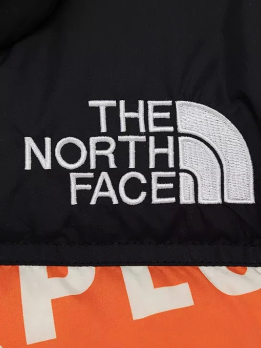 Куртки та дублянки The North Face Printed 1996 Retro Nuptse модель NF0A5IYC2B31 Фото
