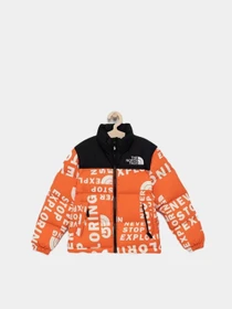 Куртки и дубленки The North Face Printed 1996 Retro Nuptse модель NF0A5IYC2B31 Фото
