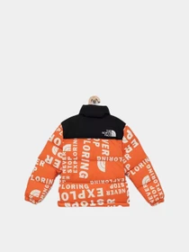 Куртки и дубленки The North Face Printed 1996 Retro Nuptse модель NF0A5IYC2B31 Фото