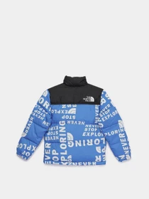 Куртки и дубленки The North Face Printed 1996 Retro Nuptse модель NF0A5IYC2B41 Фото
