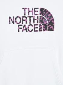 Худи и свитшоты The North Face Drew Peak модель NF0A558T2AT1 Фото