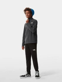 Худи и свитшоты The North Face Glacier 1/4 Zip модель NF0A2RTN0C51 Фото