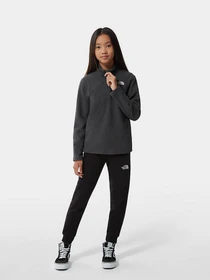 Худи и свитшоты The North Face Glacier 1/4 Zip модель NF0A2RTN0C51 Фото