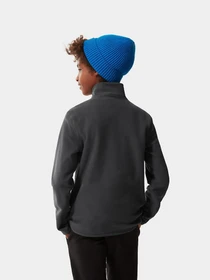 Худи и свитшоты The North Face Glacier 1/4 Zip модель NF0A2RTN0C51 Фото