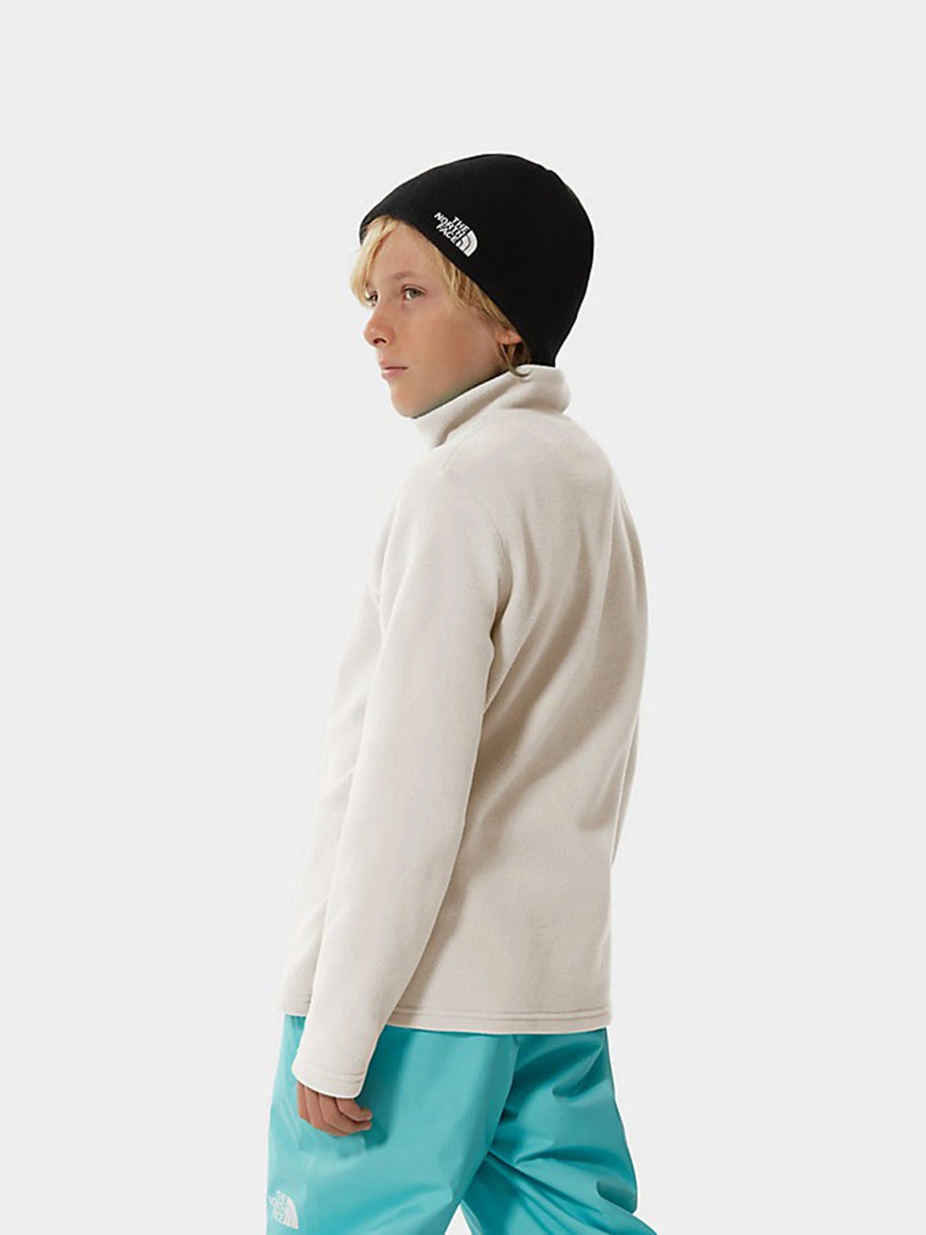 Худи и свитшоты The North Face Glacier 1/4 Zip модель NF0A2RTNN3N1 Фото