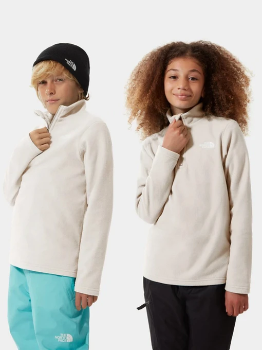 Худі та світшоти The North Face Glacier 1/4 Zip модель NF0A2RTNN3N1 Фото