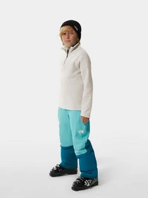 Худи и свитшоты The North Face Glacier 1/4 Zip модель NF0A2RTNN3N1 Фото