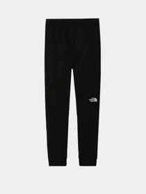 Брюки The North Face Fleece модель NF0A2WAIKY41 Фото