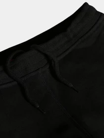 Брюки The North Face Fleece модель NF0A2WAIKY41 Фото