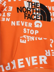 Худи и свитшоты The North Face Drew Peak P/O модель NF0A33H42B31 Фото