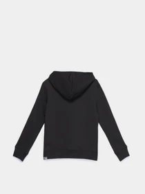 Худи и свитшоты The North Face Drew Peak P/O модель NF0A33H41E31 Фото