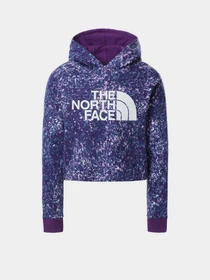 Худи и свитшоты The North Face Drew Peak Cropped P/O модель NF0A558S2H81 Фото