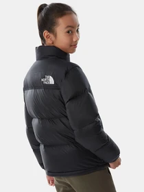 Куртки та дублянки The North Face 1996 Retro Nuptse модель NF0A4TIMJK31 Фото