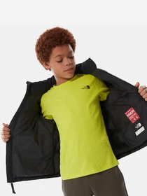 Куртки та дублянки The North Face 1996 Retro Nuptse модель NF0A4TIMJK31 Фото