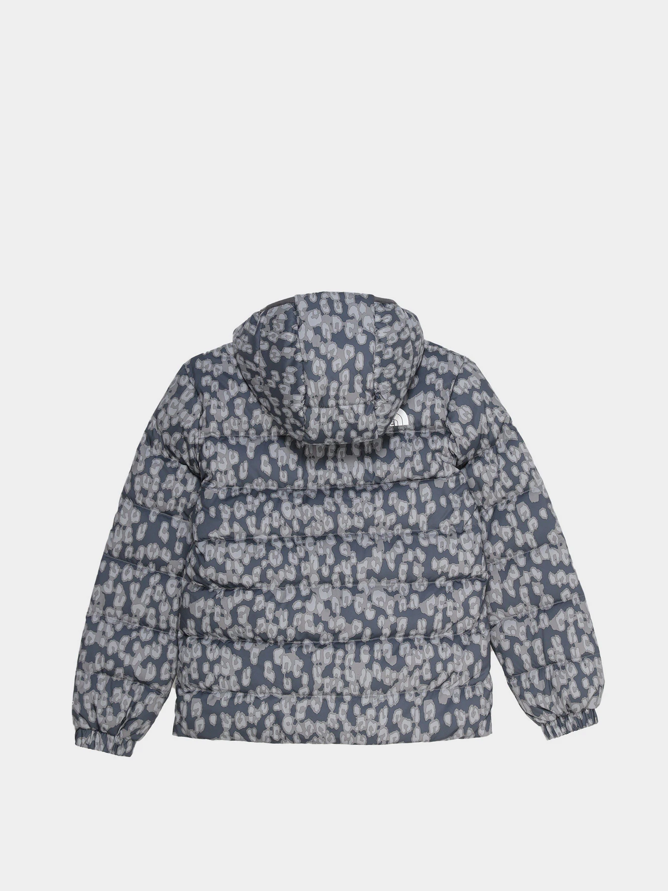 Куртки и дубленки The North Face Printed Hyalite Down модель NF0A5IYRV4N1 Фото
