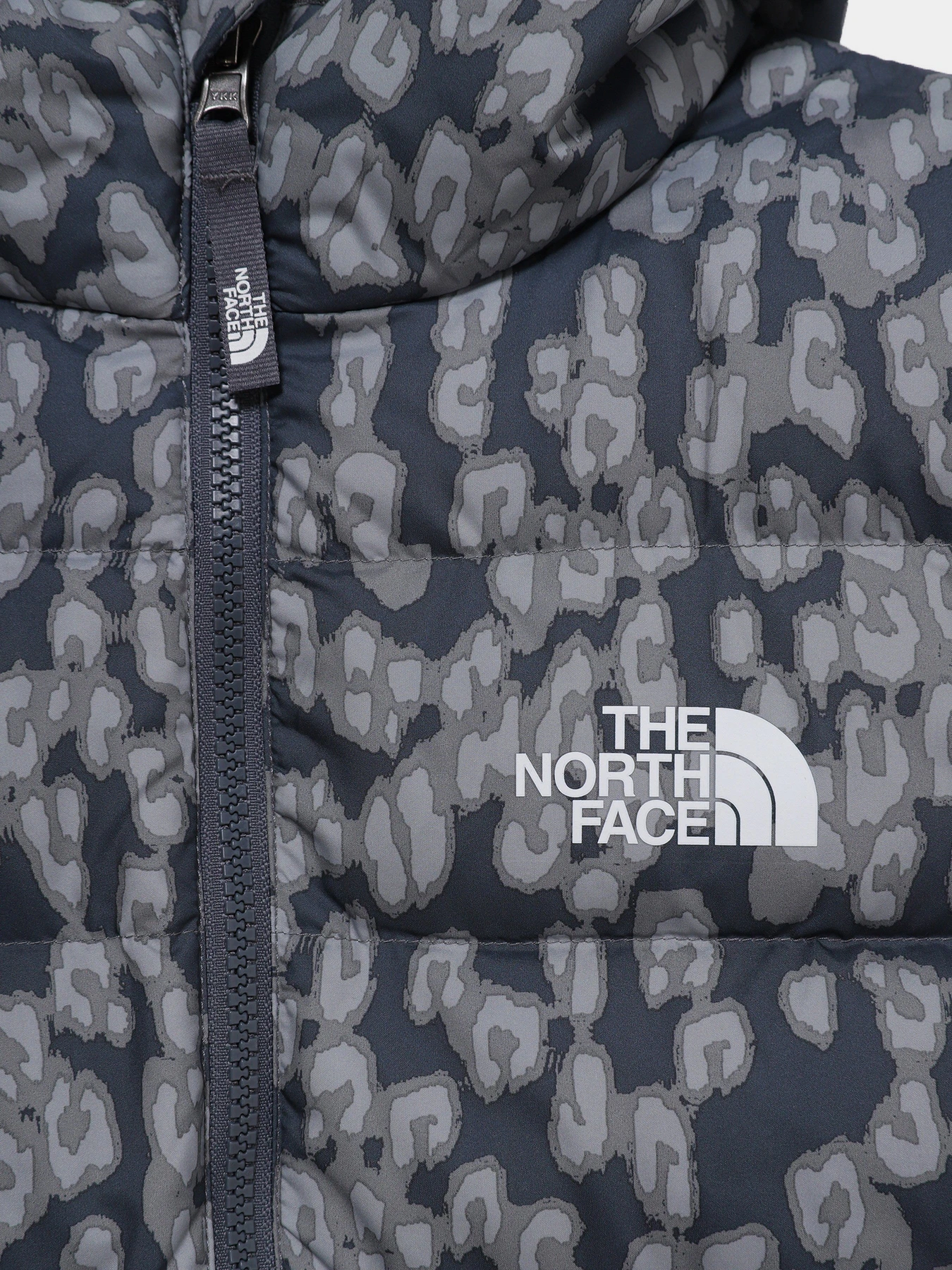 Куртки и дубленки The North Face Printed Hyalite Down модель NF0A5IYRV4N1 Фото