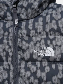 Куртки и дубленки The North Face Printed Hyalite Down модель NF0A5IYRV4N1 Фото