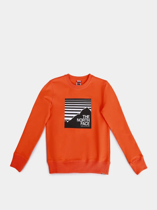 Худі та світшоти The North Face Box Crew модель NF0A37FYA6M1 Фото
