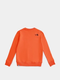 Худи и свитшоты The North Face Box Crew модель NF0A37FYA6M1 Фото