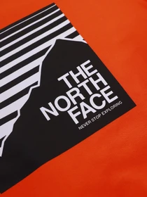 Худи и свитшоты The North Face Box Crew модель NF0A37FYA6M1 Фото