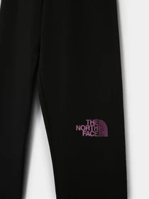 Брюки The North Face Cotton Blend Big Logo модель NF0A3VEHGAL1 Фото
