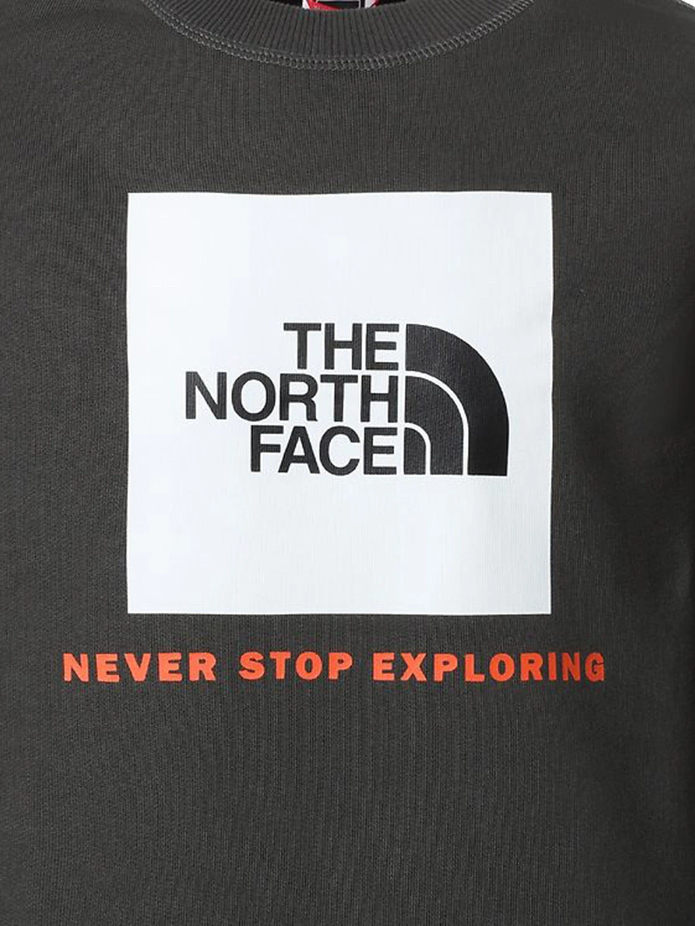 Худи и свитшоты The North Face Box Crew модель NF0A37FYUG31 Худи и свитшоты The North Face Box Crew модель NF0A37FYUG31 Фото