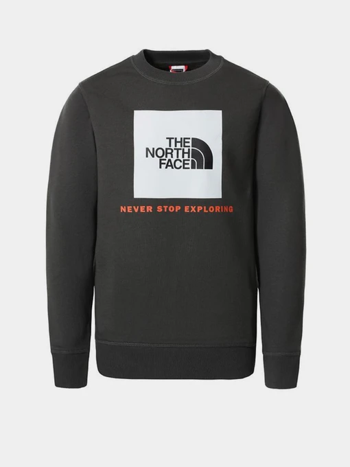Худі та світшоти The North Face Box Crew модель NF0A37FYUG31 Фото