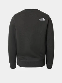 Худи и свитшоты The North Face Box Crew модель NF0A37FYUG31 Фото