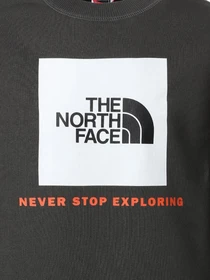 Худи и свитшоты The North Face Box Crew модель NF0A37FYUG31 Фото
