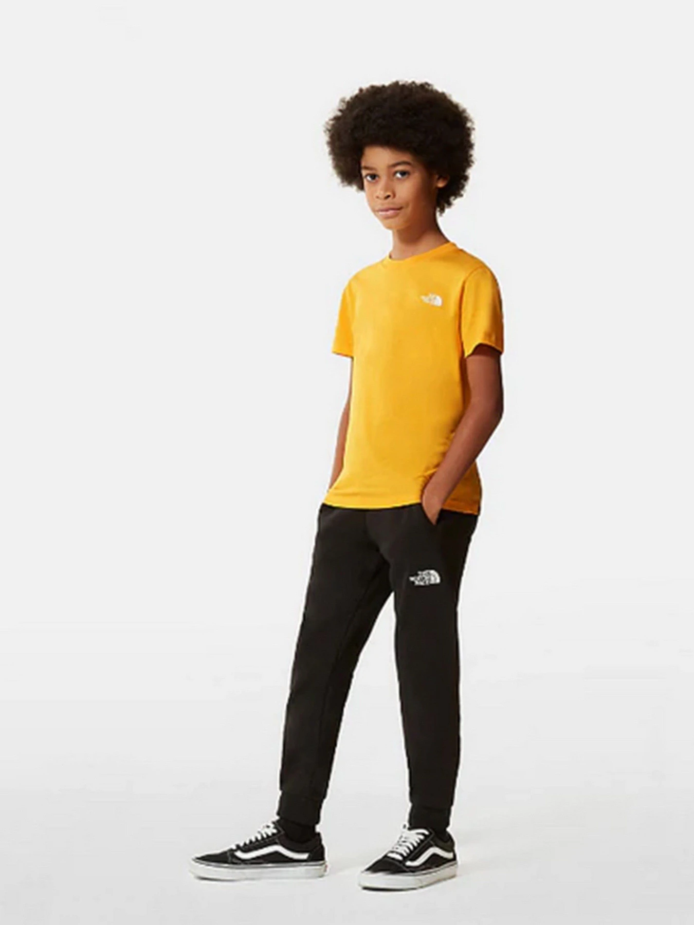 Футболки і поло The North Face Simple Dome модель NF0A2WAN56P1 Футболки і поло The North Face Simple Dome модель NF0A2WAN56P1 Фото