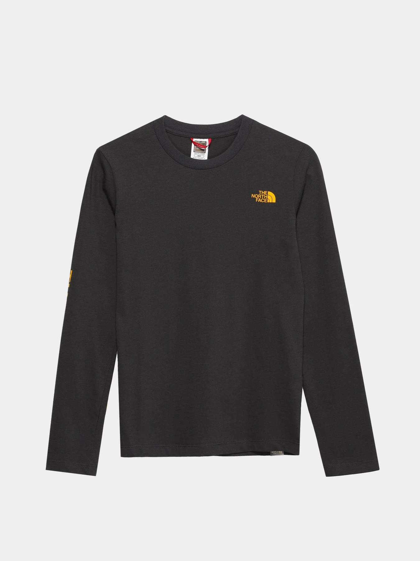 Худи и свитшоты The North Face Simple Dome модель NF0A7R1J0C51 Худи и свитшоты The North Face Simple Dome модель NF0A7R1J0C51 Фото