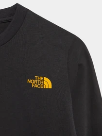 Худи и свитшоты The North Face Simple Dome модель NF0A7R1J0C51 Фото