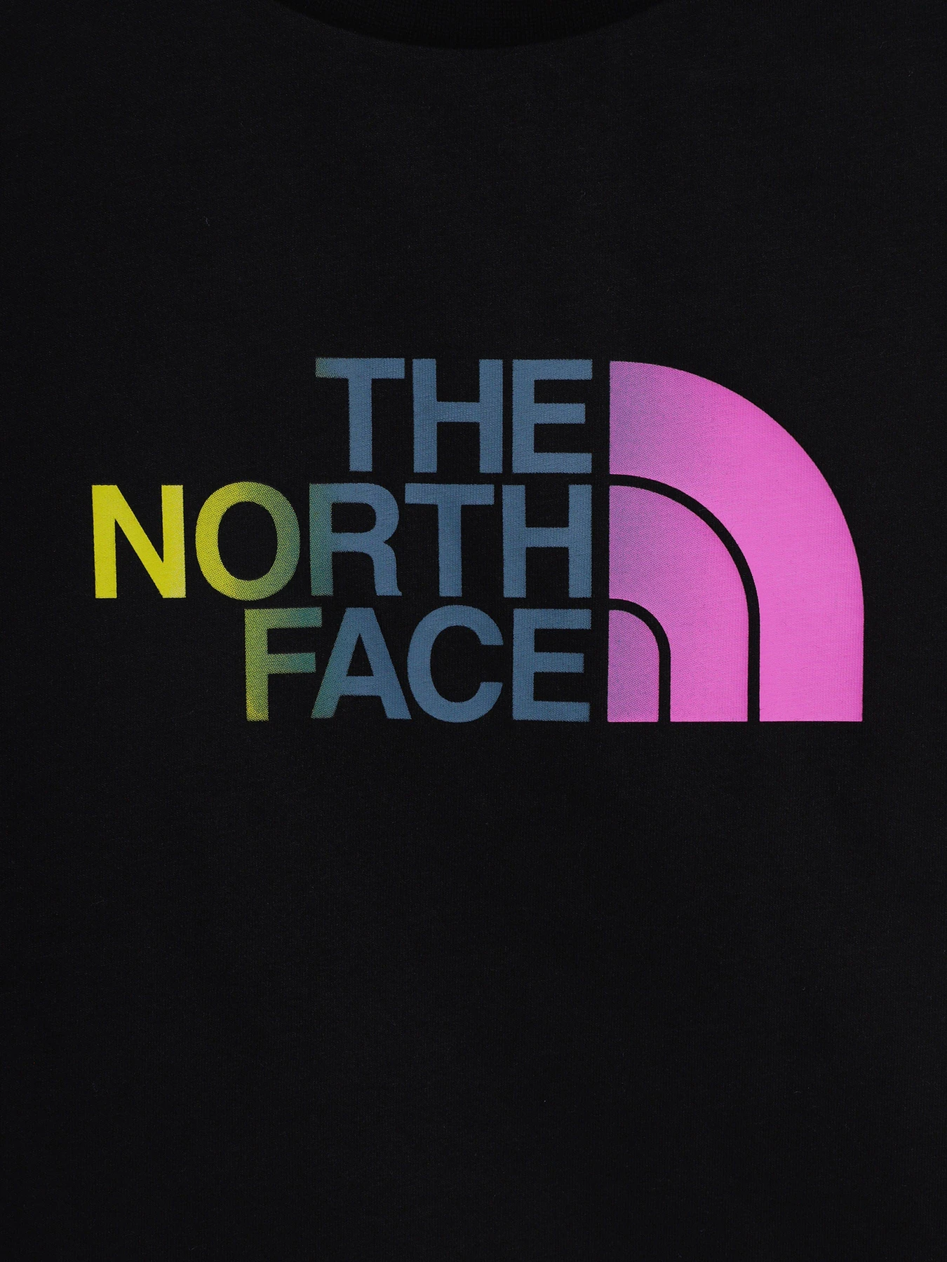 Футболки и поло The North Face Kids Comfort Fit модель NF0A55DBWZY1 Фото