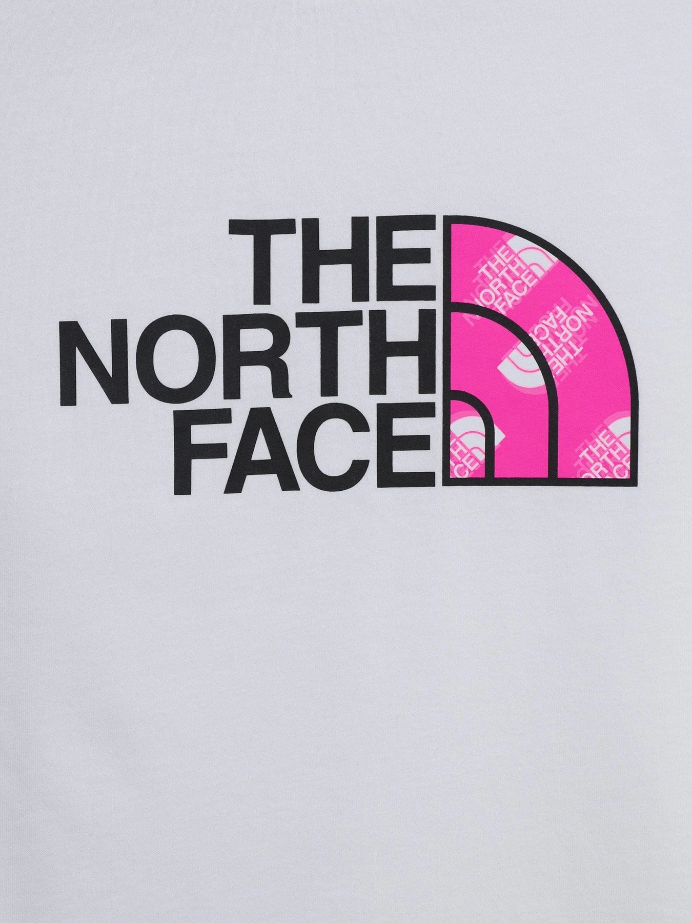 Футболки и поло The North Face Kids Comfort Fit модель NF0A55DB6J11 Фото