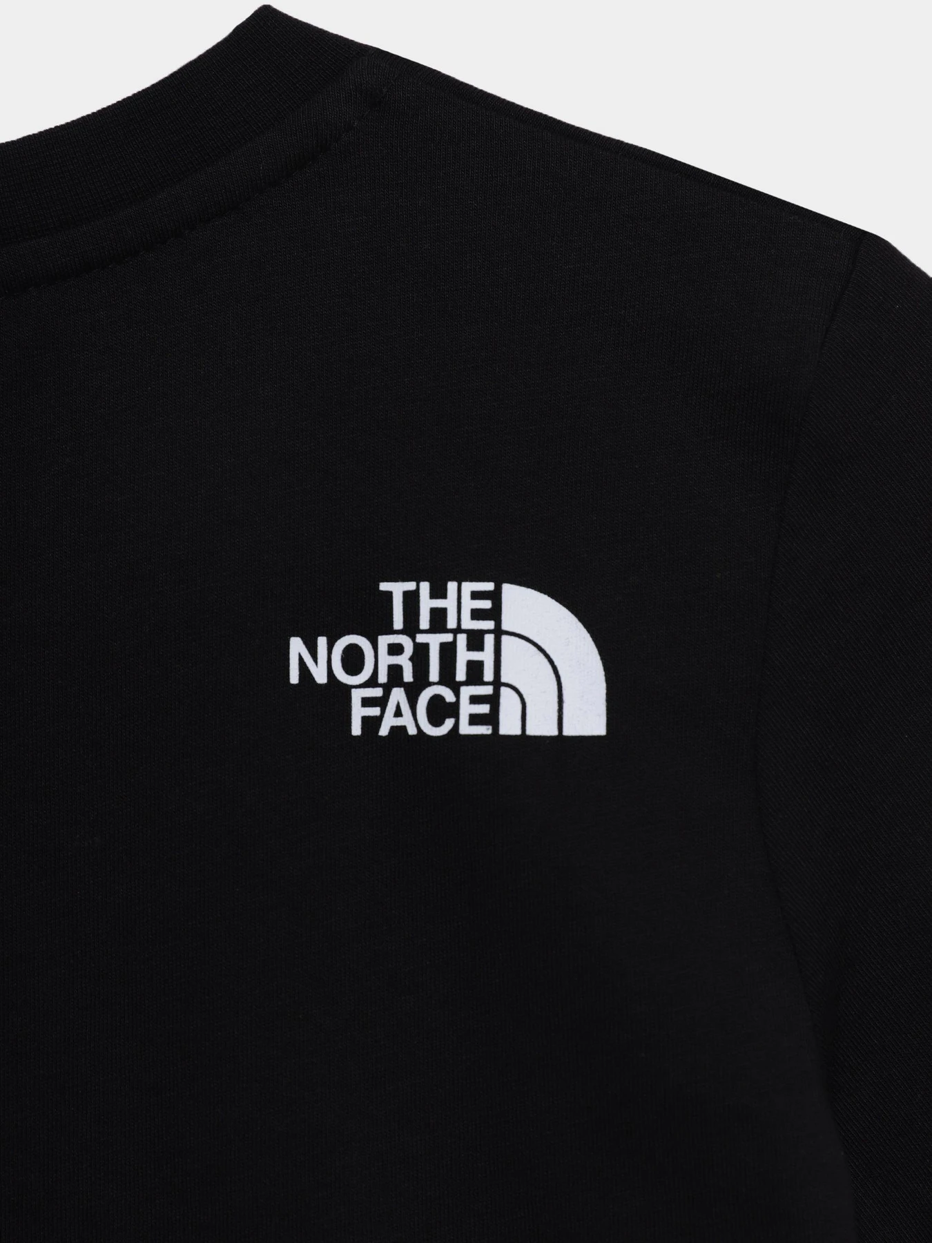Футболки і поло The North Face TEENS S/S BOX TEE модель NF0A3BS2YDD1 Фото