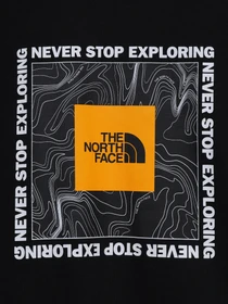 Футболки і поло The North Face TEENS S/S BOX TEE модель NF0A3BS2YDD1 Фото