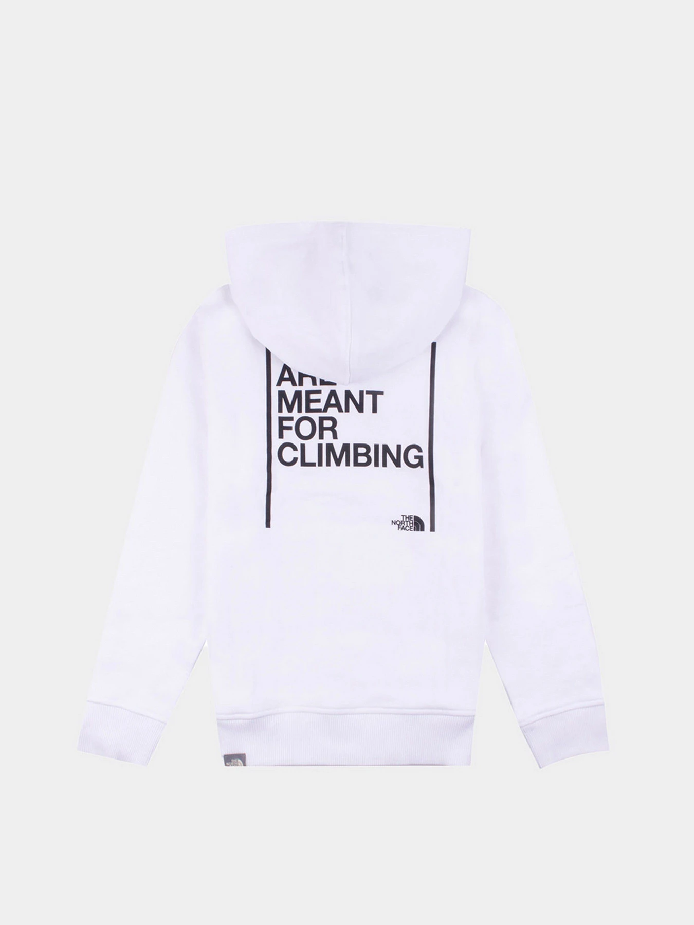Худи и свитшоты The North Face Cotton модель NF0A7R1KLA91 Фото