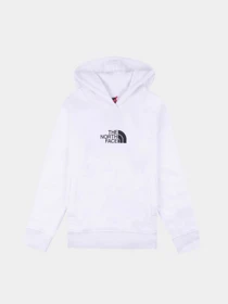 Худи и свитшоты The North Face Cotton модель NF0A7R1KLA91 Фото
