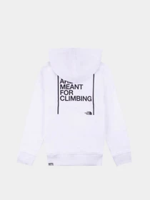 Худи и свитшоты The North Face Cotton модель NF0A7R1KLA91 Фото