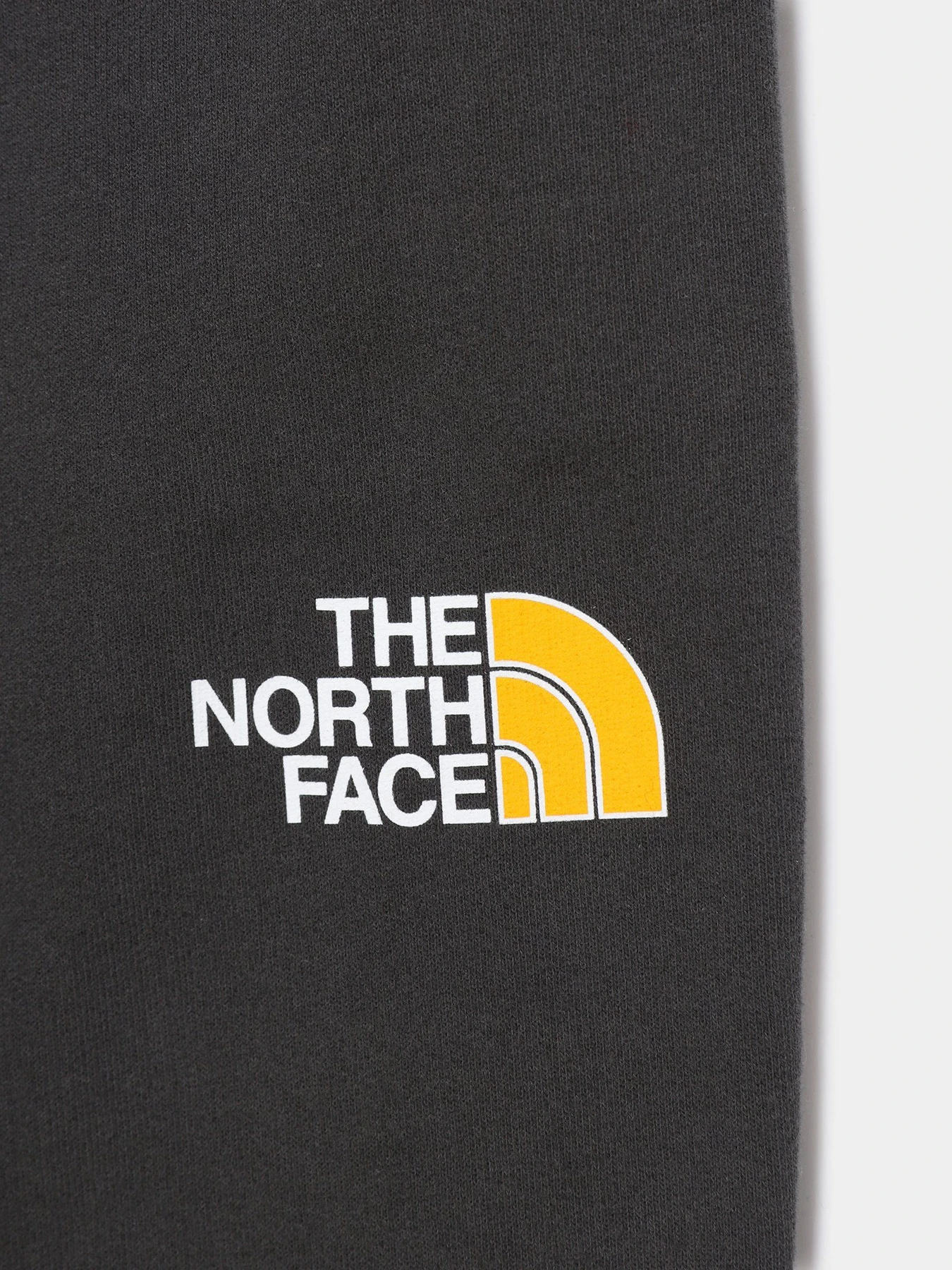 Брюки The North Face Youth Drew Peak модель NF0A492WS951 Фото