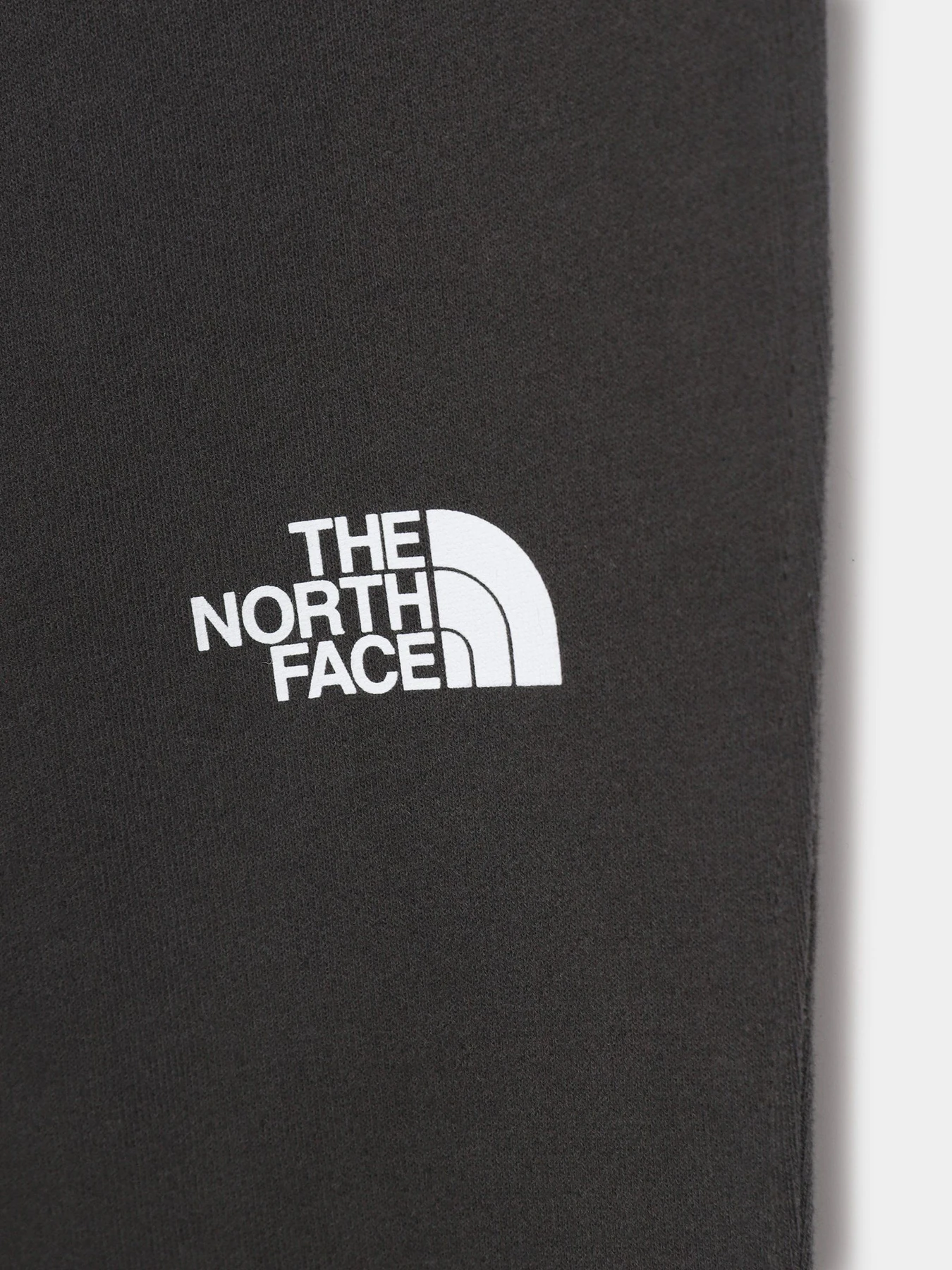 Брюки The North Face Youth Drew Peak модель NF0A492WS951 Фото