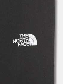 Брюки The North Face Youth Drew Peak модель NF0A492WS951 Фото