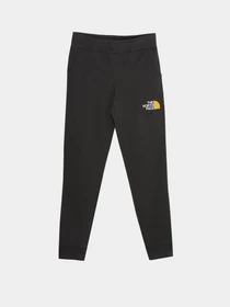 Брюки The North Face Youth Drew Peak модель NF0A492WS951 Фото