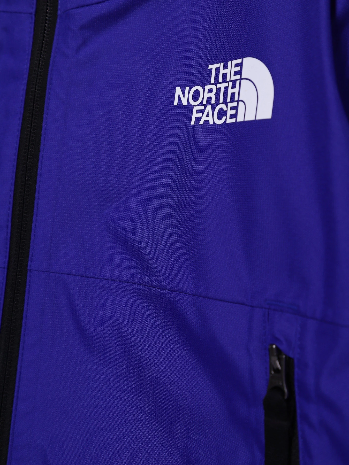Куртки и дубленки The North Face Freedom модель NF0A7UN740S1 Фото
