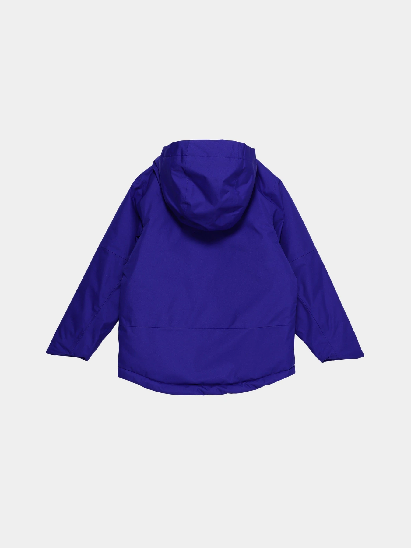 Куртки и дубленки The North Face Freedom модель NF0A7UN740S1 Фото
