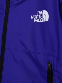 Куртки и дубленки The North Face Freedom модель NF0A7UN740S1 Фото