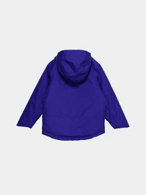 Куртки и дубленки The North Face Freedom модель NF0A7UN740S1 Фото