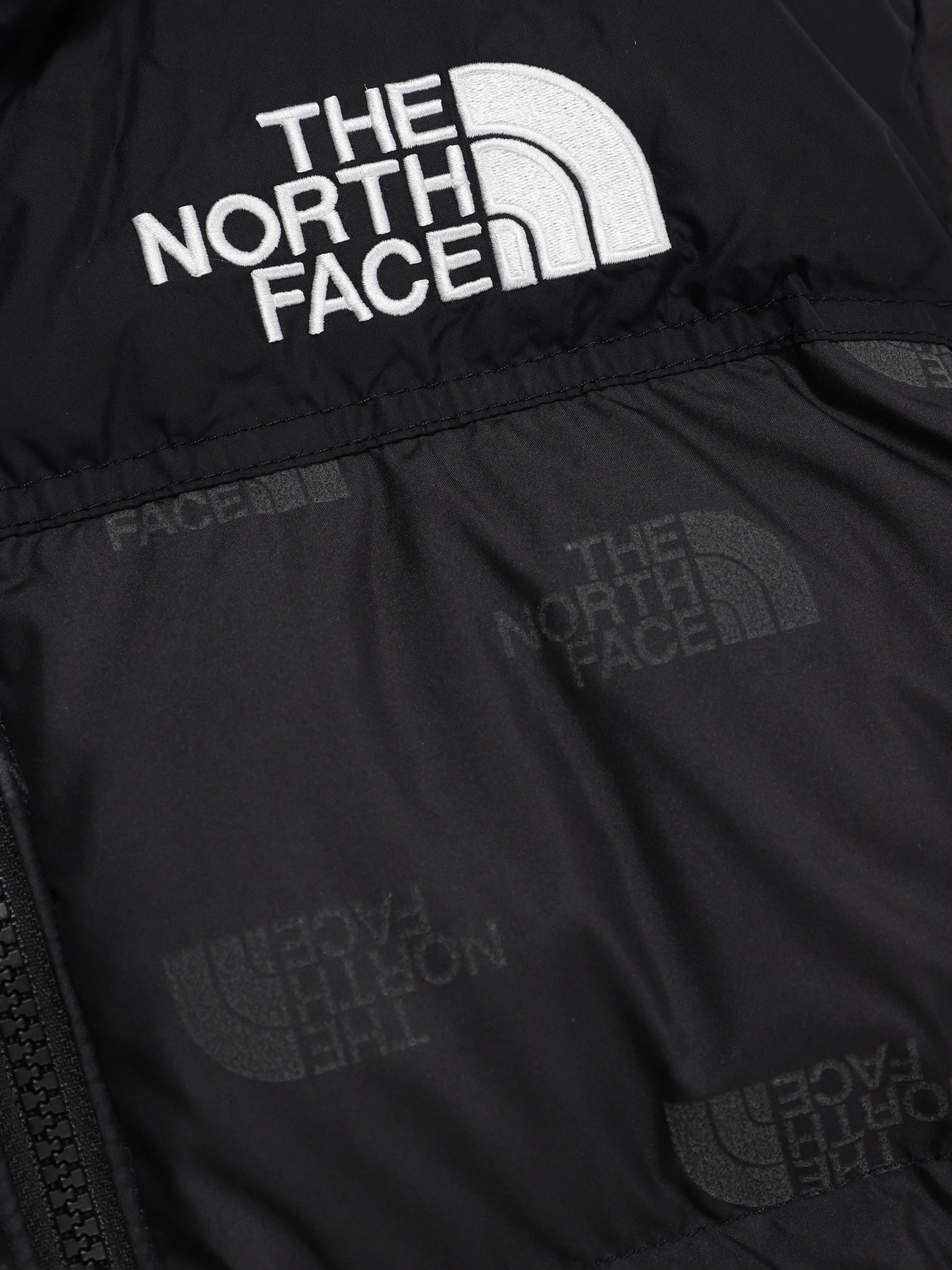 Куртки и дубленки The North Face Printed 1996 Retro Nuptse модель NF0A7WQM97M1 Фото