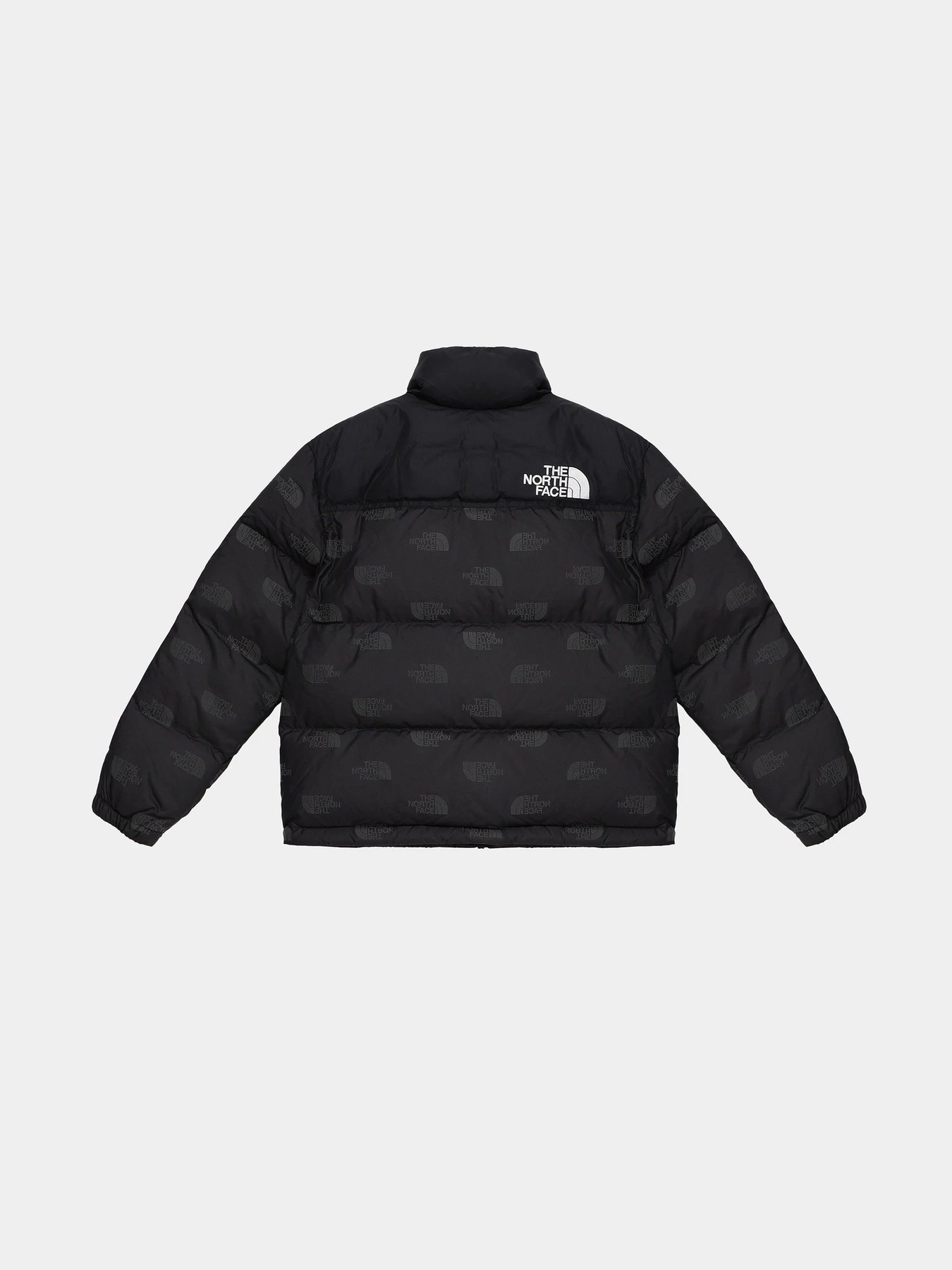 Куртки и дубленки The North Face Printed 1996 Retro Nuptse модель NF0A7WQM97M1 Фото